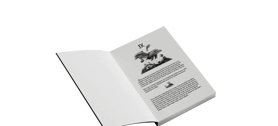 Seedspire Publishing